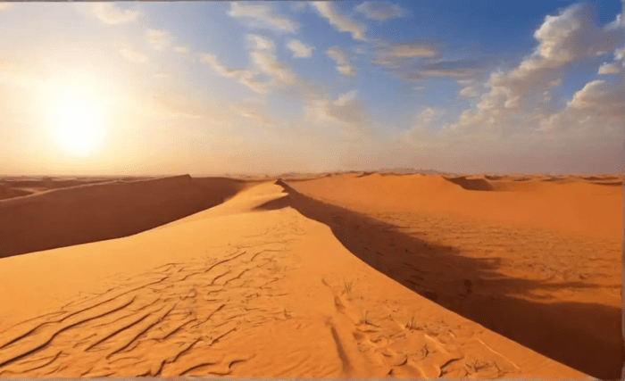 Abiotic factors in the sahara desert