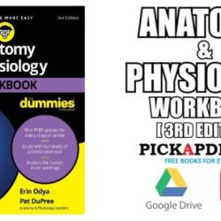 Anatomy and physiology workbook answers