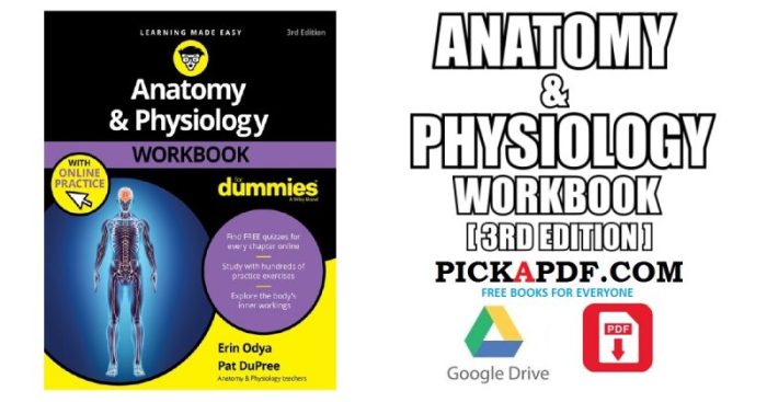 Anatomy and physiology workbook answers