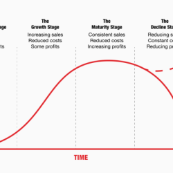 Business life cycle stages gmetrix