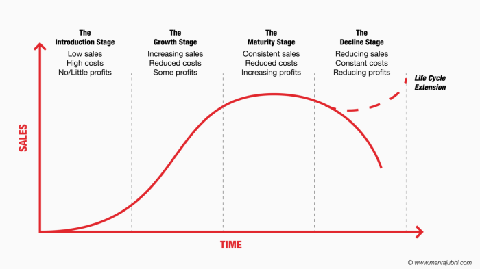 Business life cycle stages gmetrix