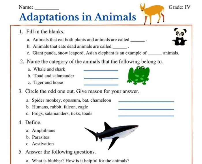 Plant and animal adaptations worksheet