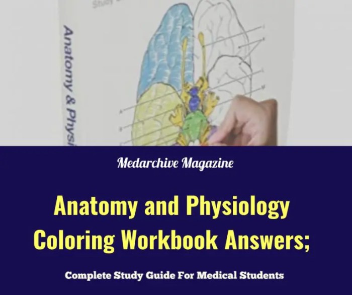 Anatomy and physiology workbook answers