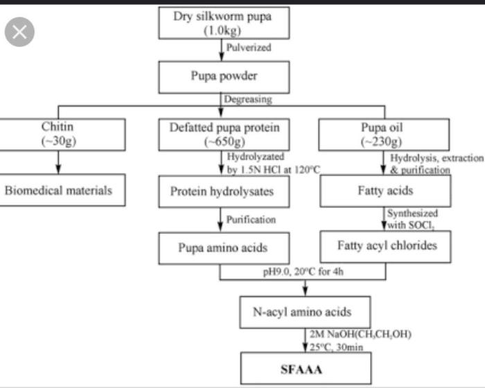 Protein synthesis flow chart answers