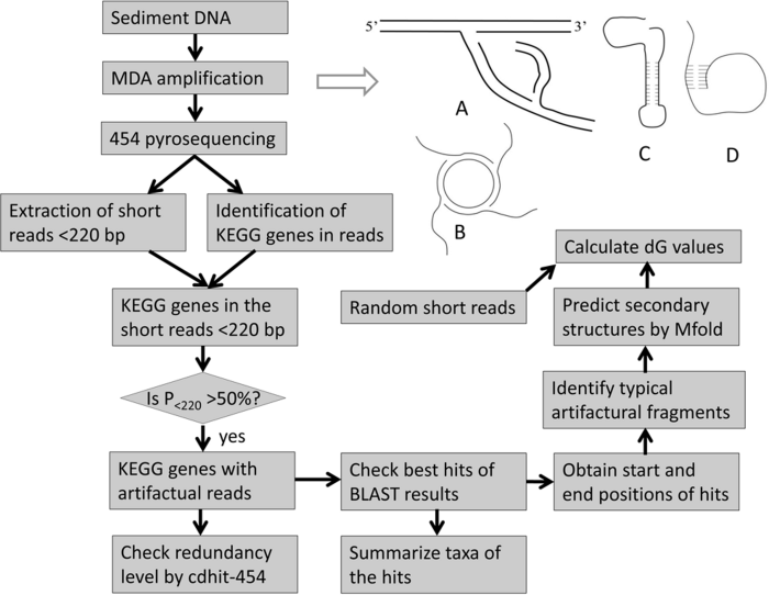 Protein synthesis biology below answers made easy