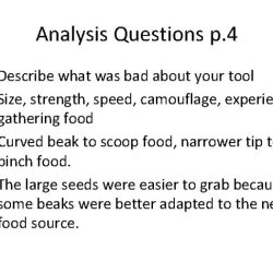 The beaks of finches lab answer key