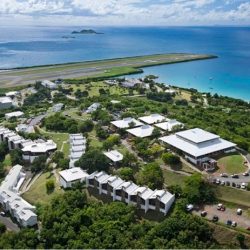 University of the virgin islands mascot