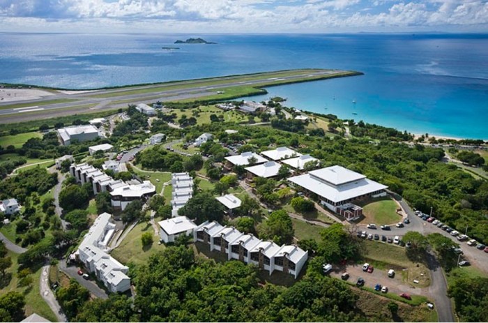 University of the virgin islands mascot