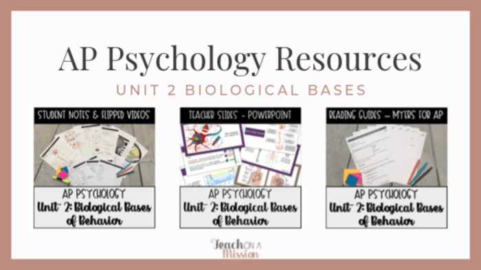 Ap psychology unit 3 biological bases of behavior