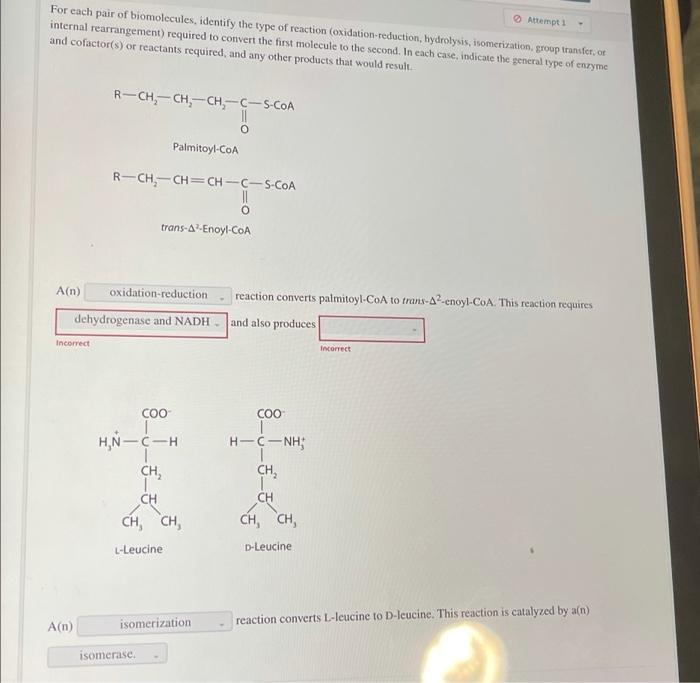 For each pair of biomolecules identify the type of reaction