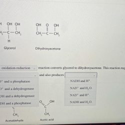 For each pair of biomolecules identify the type of reaction