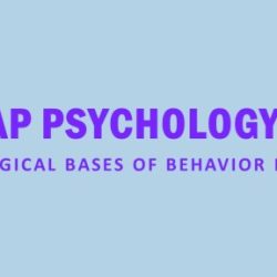 Ap psychology unit 3 biological bases of behavior