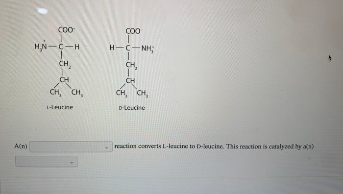 For each pair of biomolecules identify the type of reaction