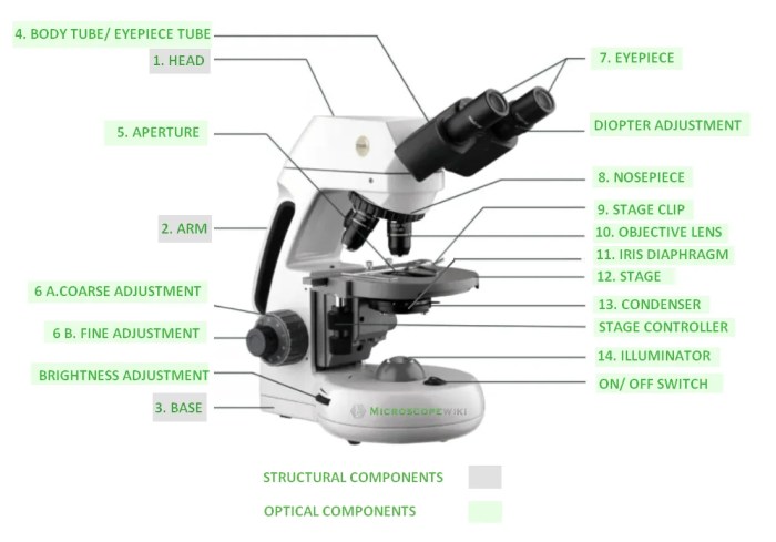 Compound light microscope with binocular head and mechanical stage