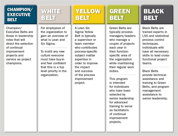 Lean six sigma green belt exam questions and answers pdf